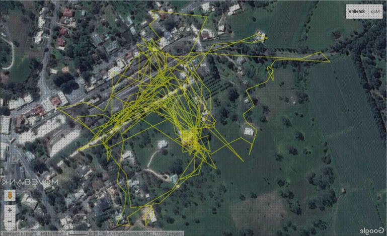 Las mejores marcas de Más sobre gps conectar al coche Más sobre gps que navegador elegir Más sobre localizador gps coche particular cat gps collar australia