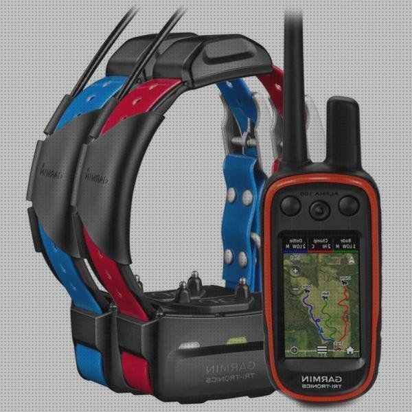 Review de collar perro gps garmin