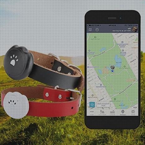 Las mejores marcas de perros collar gps perros grandes