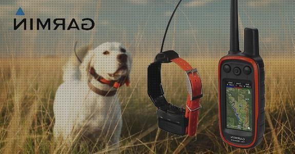 Las mejores marcas de collares garmin collar perro gps garmin