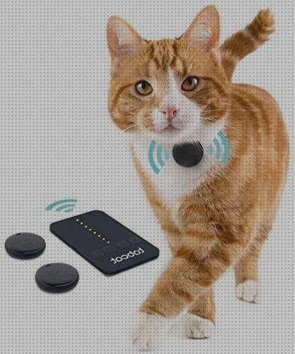 Los mejores 29 Gps Cats Collares Buy