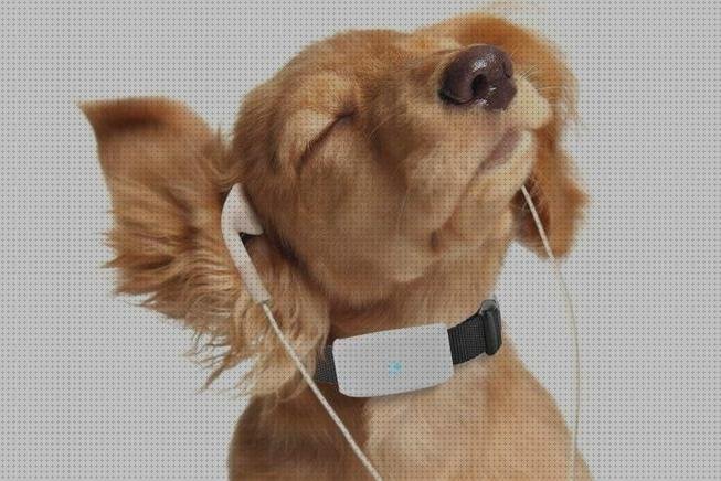 Análisis de los 36 mejores Hangang Collares Gps Para Perros