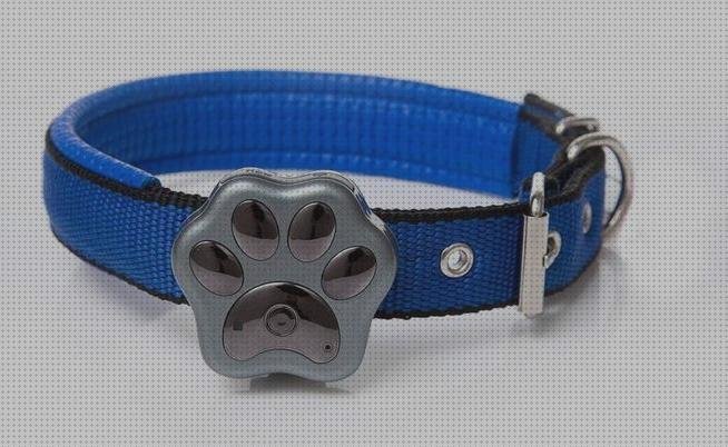 ¿Dónde poder comprar perros hangang collar gps perros?