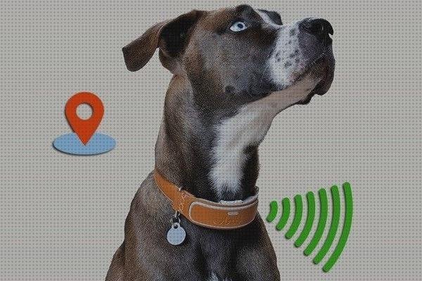 ¿Dónde poder comprar rastreador localizador rastreador gps mascotas?