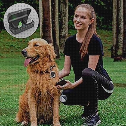 Las mejores tracker gps pet gps tracker