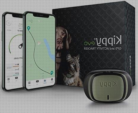 Las mejores marcas de gps localizador familiar premium Más sobre gps speed accuracy Más sobre viper gps teléfono line localizador gps angel 20 premium